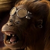 Avatar uživatele